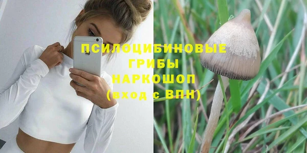 стаф Осташков