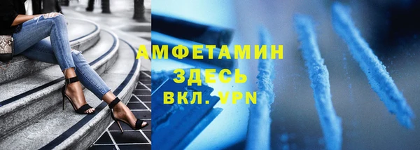 стаф Осинники